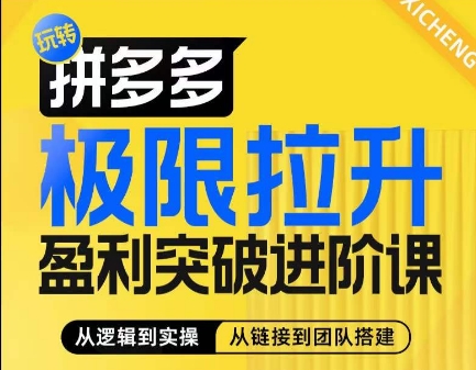 拼多多极限拉升盈利突破进阶课,从算法到玩法,从玩法到团队搭建,体系化系统性帮助商家实现利润提升-一米创业记