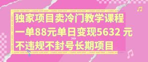 独家项目卖冷门教学课程一单88元单日变现5632元违规不封号长期项目【揭秘】-一米创业记