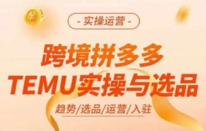 跨境拼多多TEMU实操与选品，多多temu跨境选品运营实操-一米创业记
