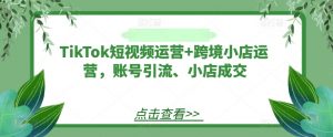 TikTok短视频运营+跨境小店运营,账号引流、小店成交-一米创业记