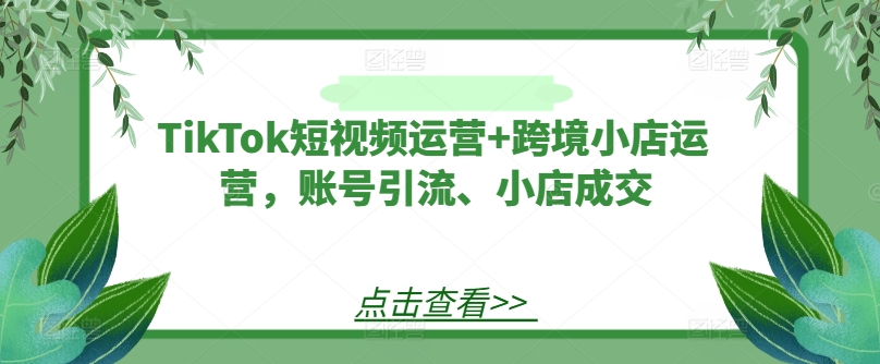TikTok短视频运营+跨境小店运营,账号引流、小店成交-一米创业记