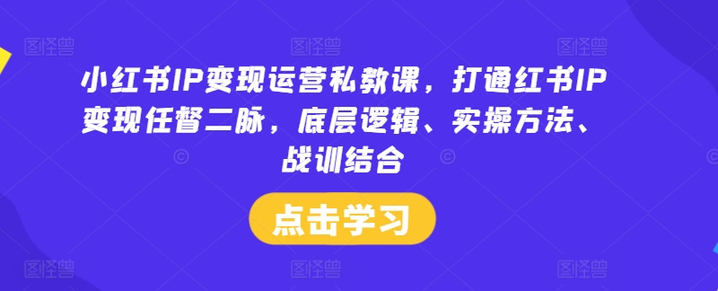 小红书IP变现运营私教课，打通红书IP变现任督二脉，底层逻辑、实操方法、战训结合-一米创业记