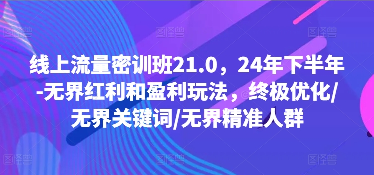 线上流量密训班21.0，24年下半年-无界红利和盈利玩法，终极优化/无界关键词/无界精准人群-一米创业记