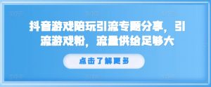 抖音游戏陪玩引流专题分享，引流游戏粉，流量供给足够大-一米创业记