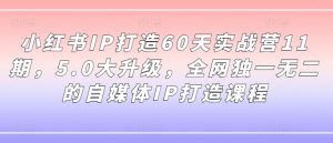 小红书IP打造60天实战营11期，5.0大升级，全网独一无二的自媒体IP打造课程-一米创业记