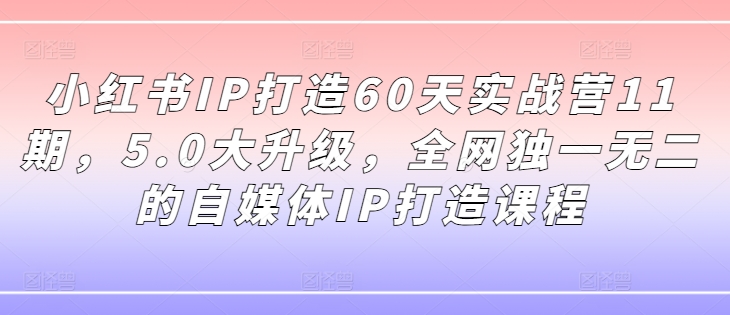 小红书IP打造60天实战营11期,5.0大升级,全网独一无二的自媒体IP打造课程-一米创业记