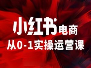 小红书电商从0-1实操运营课，让你从小白到精英-一米创业记