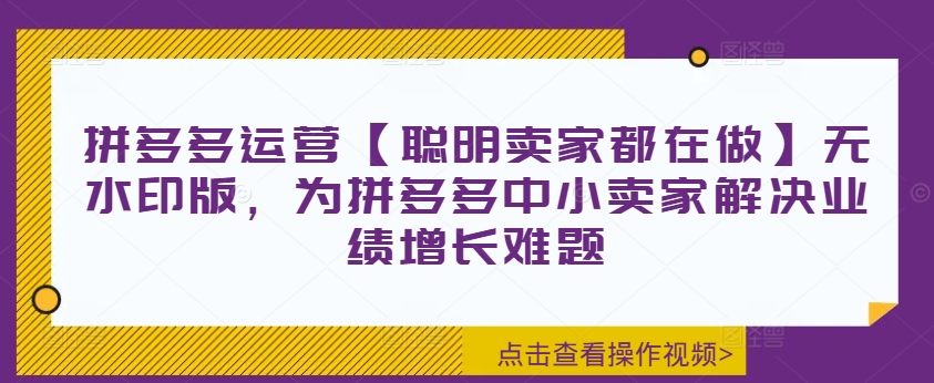 拼多多运营【聪明卖家都在做】无水印版，为拼多多中小卖家解决业绩增长难题-一米创业记