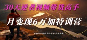 30天逆袭视频带货高手，单月变现6万加特训营-麦子甜-一米创业记