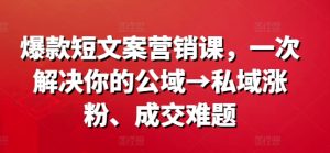 爆款短文案营销课，一次解决你的公域→私域涨粉、成交难题-一米创业记