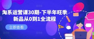 淘系运营课30期-下半年旺季新品从0到1全流程-一米创业记