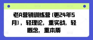 老A营销训练营(更24年8月)，轻理论，重实战，轻概念，重本质-一米创业记