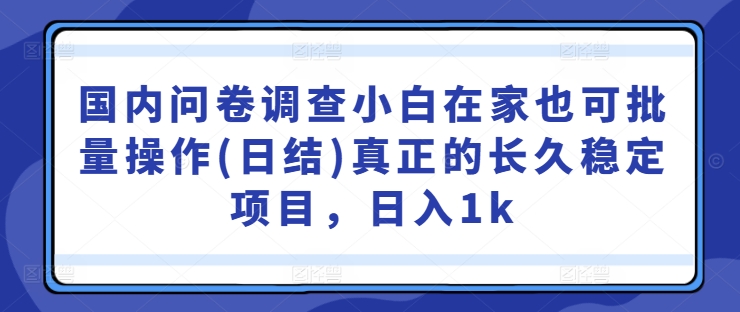 国内问卷调查小白在家也可批量操作(日结)真正的长久稳定项目，日入1k【揭秘】-一米创业记