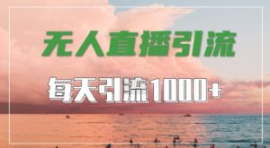 抖音快手视频号全平台通用，无人直播引流法，超暴力引流1000+高质量精准创业粉【揭秘】-一米创业记