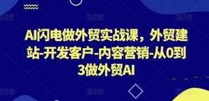 AI闪电做外贸实战课，​外贸建站-开发客户-内容营销-从0到3做外贸AI（更新）-一米创业记