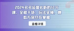 2024多多运营必听的12节课，全程干货，玩法实操，爆款方案尽在掌握-一米创业记