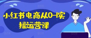 小红书电商从0-1实操运营课，小红书手机实操小红书/IP和私域课/小红书电商电脑实操板块等-一米创业记