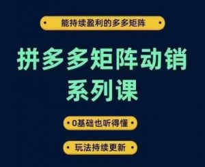 拼多多矩阵动销系列课，能持续盈利的多多矩阵，0基础也听得懂，玩法持续更新-一米创业记