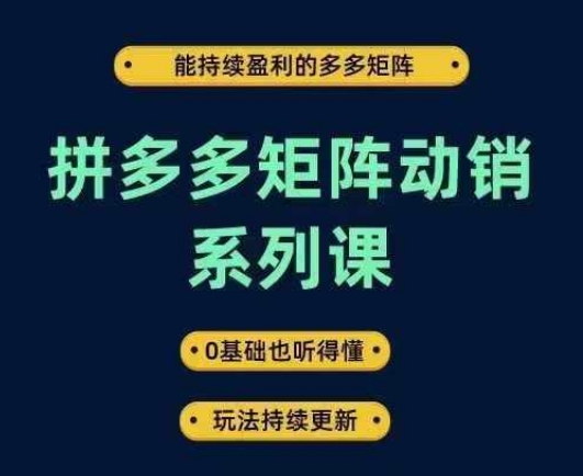 拼多多矩阵动销系列课，能持续盈利的多多矩阵，0基础也听得懂，玩法持续更新-一米创业记