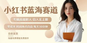 小红书蓝海赛道，圈中高端职场人，月入无上限，可矩阵，内含私域实操教程!-一米创业记