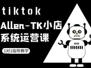 TK小店系统运营课-tiktok跨境电商教程-一米创业记
