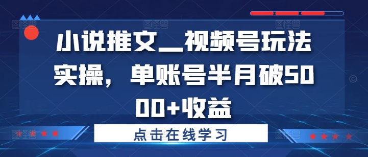 小说推文—视频号玩法实操,单账号半月破5000+收益-一米创业记