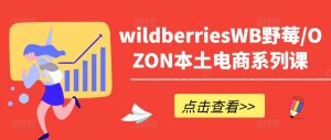 wildberriesWB野莓/OZON本土电商系列课，掌握WB产品优化，出单技巧和订单处理等-一米创业记
