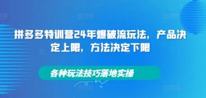 拼多多特训营24年爆破流玩法，产品决定上限，方法决定下限，各种玩法技巧落地实操-一米创业记