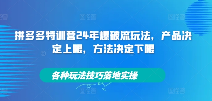 拼多多特训营24年爆破流玩法，产品决定上限，方法决定下限，各种玩法技巧落地实操-一米创业记