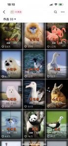 动物科普解说项目，撸创作者伙伴计划收益，保姆级实战教程-一米创业记