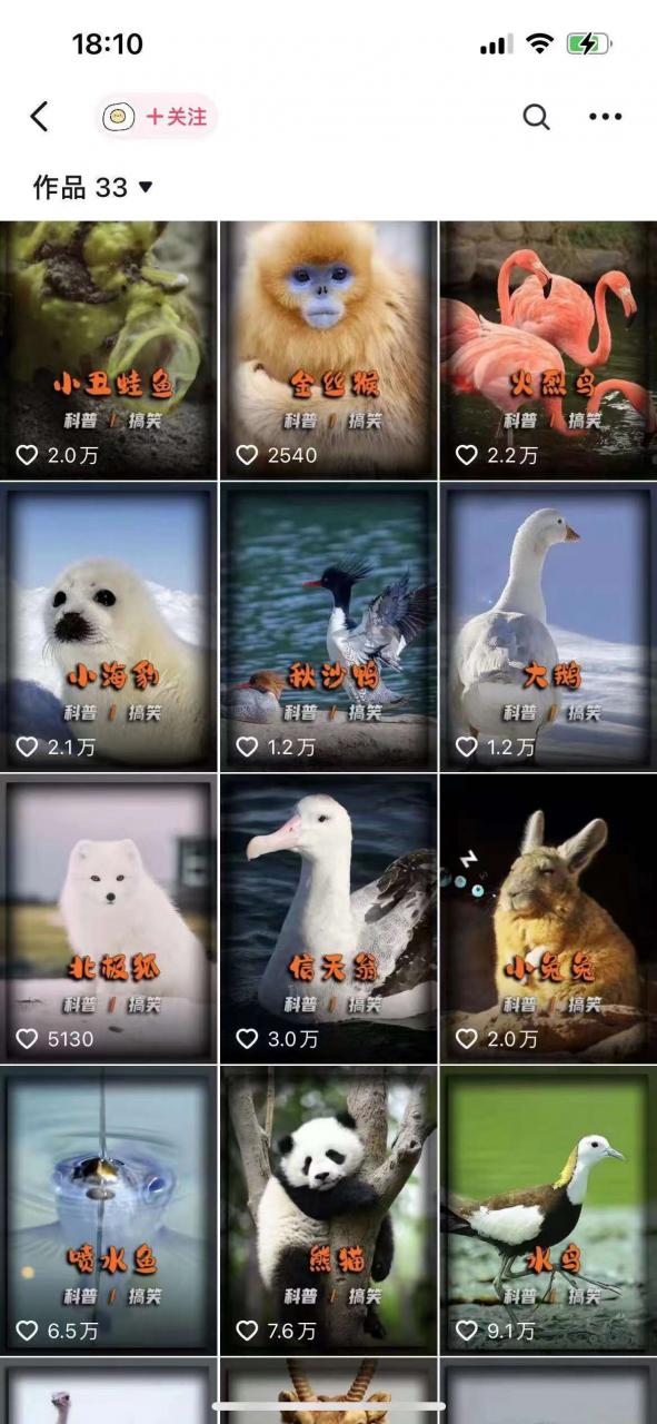 动物科普解说项目，撸创作者伙伴计划收益，保姆级实战教程-一米创业记