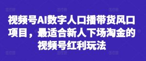 视频号AI数字人口播带货风口项目，最适合新人下场淘金的视频号红利玩法-一米创业记