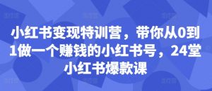小红书变现特训营，带你从0到1做一个赚钱的小红书号，24堂小红书爆款课-一米创业记
