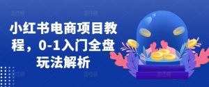 小红书电商项目教程，0-1入门全盘玩法解析-一米创业记