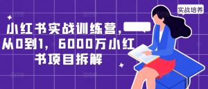 小红书实战训练营，从0到1，6000万小红书项目拆解-一米创业记