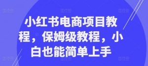 小红书电商项目教程，保姆级教程，小白也能简单上手-一米创业记