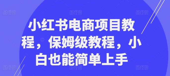小红书电商项目教程，保姆级教程，小白也能简单上手-一米创业记