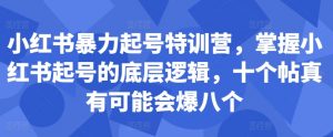 小红书暴力起号特训营，掌握小红书起号的底层逻辑，十个帖真有可能会爆八个-一米创业记