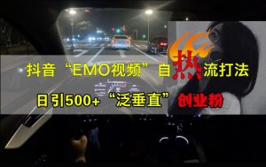 抖音EMO视频自热打法，日引500+“泛垂直”创业粉-一米创业记