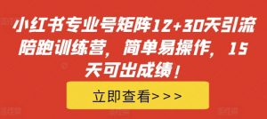 小红书专业号矩阵12+30天引流陪跑训练营，简单易操作，15天可出成绩!-一米创业记