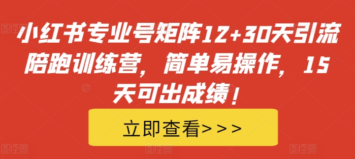 小红书专业号矩阵12+30天引流陪跑训练营，简单易操作，15天可出成绩!-一米创业记