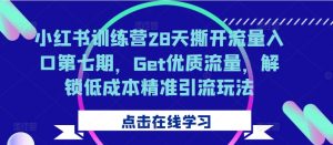 小红书训练营28天撕开流量入口第七期，Get优质流量，解锁低成本精准引流玩法-一米创业记