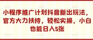 小程序推广计划抖音新出玩法，官方大力扶持，轻松实操，小白也能日入5张【揭秘】-一米创业记