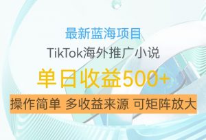 最新蓝海项目，利用tiktok海外推广小说赚钱佣金，简单易学，日入500+，可矩阵放大【揭秘】-一米创业记