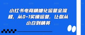 小红书电商精细化运营全流程，从0-1实操运营，让你从小白到精英-一米创业记