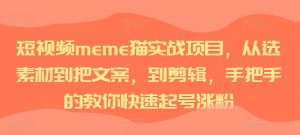 短视频meme猫实战项目，从选素材到把文案，到剪辑，手把手的教你快速起号涨粉-一米创业记