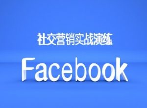 Facebook社交营销实战演练，外贸人绝对不能错过的营销推广平台-一米创业记