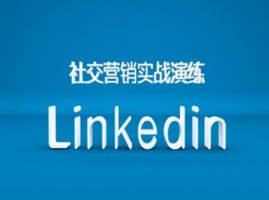 社交营销实战演练之Linkedin营销课程，B2B跨境外贸的新出路-一米创业记