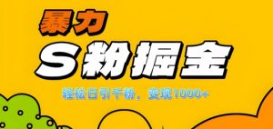 单人单机日引千粉,变现1k+,S粉流量掘金计划攻略【揭秘】-一米创业记