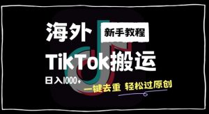 2024最新海外TikTok搬运玩法，一键去重轻松过原创，新手无经验也能日入1k【揭秘】-一米创业记